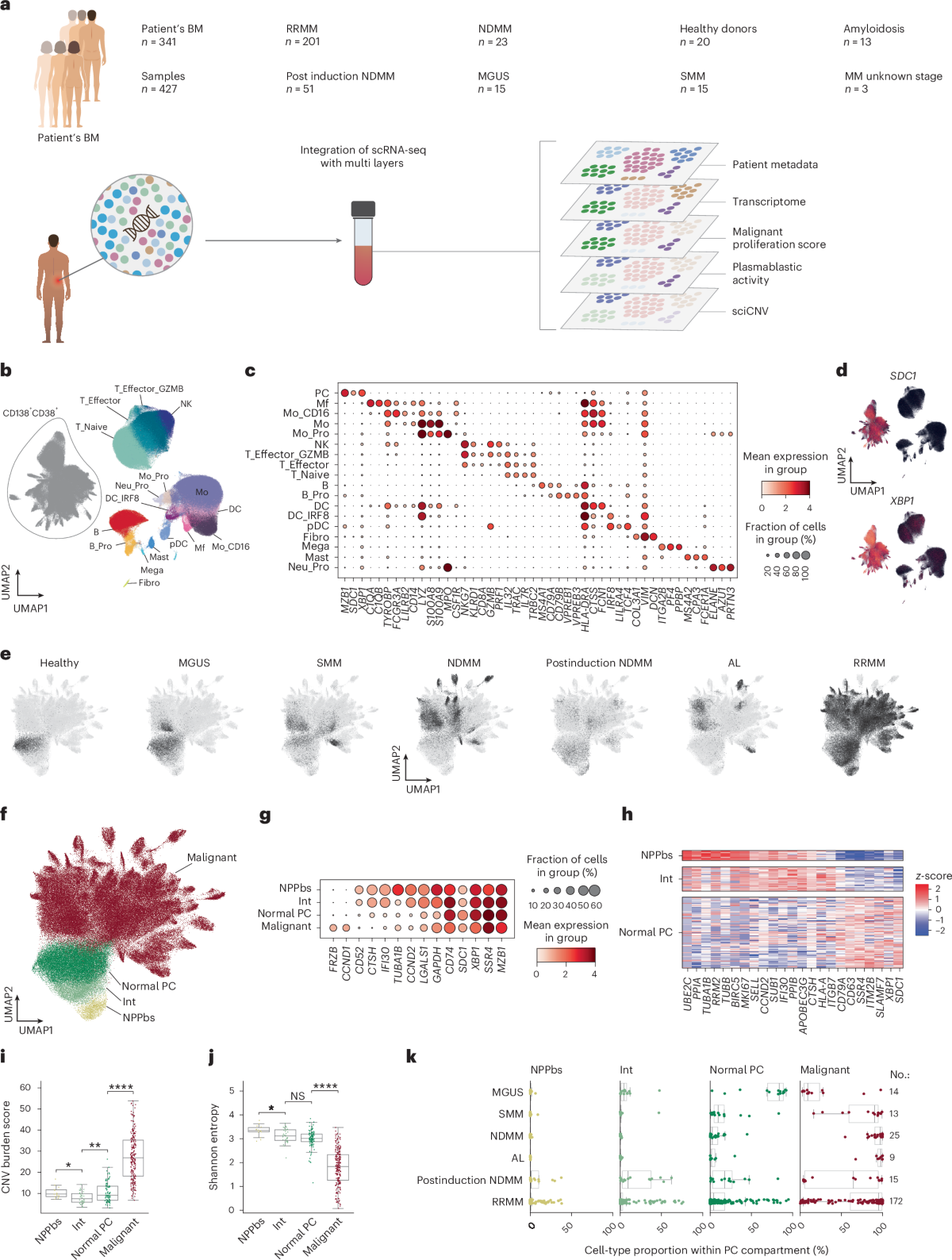 Cell maps and gene activity charts showing bone marrow cell types across stages of multiple myeloma.