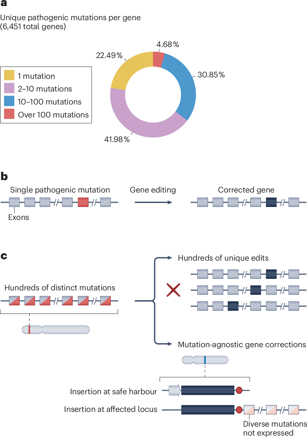 Figure 1: mutation-specific editing compared with insertion of a functional gene.