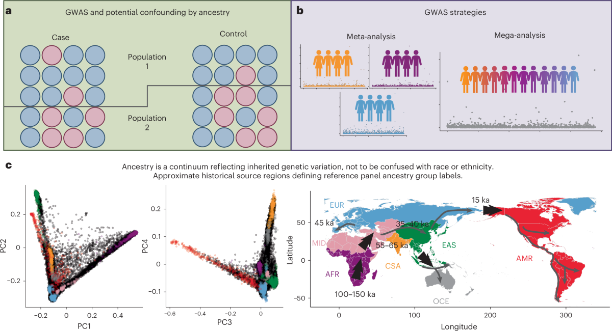 Diagrams and maps explaining genetic ancestry, population history and ways to account for ancestry in association studies.